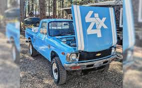 Image result for Blue 1980 Truck