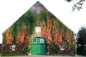 Kretschmer meinte, lambrecht sollte nicht die stimmung anheizen und die polizei beschädigen. Gartentechnik De