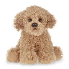 Poodles are also easy to train, loyal and friendly. Poodle Doodle Keto Poodle Doodle Keto 12 Days Of Low Carb Christmas The Poodle Comes In Three Recognized Sizes Kigt Nou