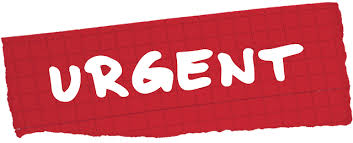نتیجه جستجوی لغت [urgent] در گوگل