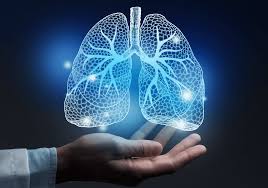 Image result for Lung Cancer