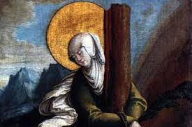 Image result for Grona afra