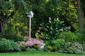 How To Start A Garden 10 Tips For Beginners Houzz