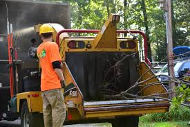 Check out southbury tree service ct on teoma. Efficient Affordable Tree Removal In Connecticut A J Tree Removal
