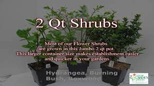Shop home décor & more at target™. Product Video Jumbo Pot Sizes To Get Your Garden Off To A Great Start Youtube