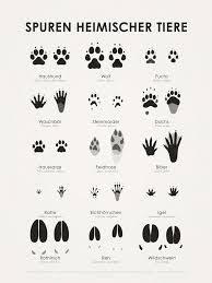 Für kinder ab 5 jahren. Kunstdrucke 15 Trittsiegel Mit Hidden Tracks Iris Luckhaus Illustration Design