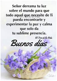 Pin De Zonia Valle En Oraciones De La Manana Buenos Dias Cristianos Frases Saludos De Buenos Dias Oracion De Buenos Dias Oracion de la mañana,gracias señor; pinterest