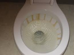 We did not find results for: No Chemicals Needed Quick Way To Get Lime Scale Build Up Out Of Toilet Rim 101cleaningtips N Clean Shower Glass Hard Water Build Up On Faucet Shower Cleaner