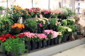 Gartencenter Oosterik Schnittblumen Alles Fur Innen Und Aussen