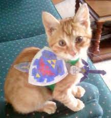 6 Diy Ways To Make Your Cat Love Video Games Cat Cosplay Zelda Cosplay Cat Love