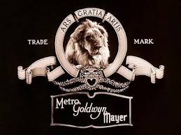 Mgm wine & spirits is a locally owned and operated business with over 32 franchise locations throughout central minnesota. Mgm Oz Wiki Fandom