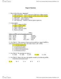 Chapter 8 from dna to proteins— presentation transcript 3 unit 3: Biol 1011 Study Guide Winter 2014 Valine Transfer Rna Operon