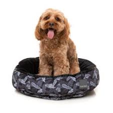 Maybe you would like to learn more about one of these? Large Dog Beds Ozdogbeds
