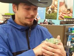 The NEXT New England Reptile Expo: SUNDAY, June 29, 2025 9a-4p, at the  Doubletree Hotel, 700 Elm Street, Manchester, NH Come see over 200+ vendor  tables full of reptiles, amphibians, invertebrates, cages,