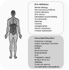 Symptoms Of Zinc Deficiency And Associated Disorders Adhd Attention Download Scientific Diagram