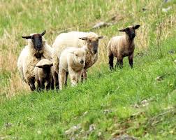 Farm Bureau News April 2023