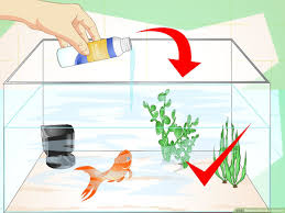 Maybe you would like to learn more about one of these? How To Revive A Goldfish 15 Steps With Pictures Wikihow