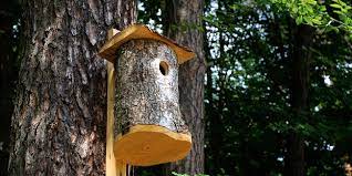 Un propriétaire fait une demande de permis de construire une cabane perchée dans un arbre. Comment Fabriquer Un Nichoir A Oiseaux