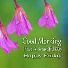 Collection of good morning friday quotes, messages and images to wish everyone a wonderful, overwhelming, exciting and amazing happy friday. Good Morning Happy Friday Pictures Have A Beautiful Day Good Morning Images Quotes Wishes Messages Greetings