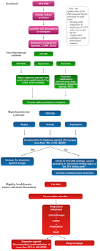 Scielo Brasil Medical Management After Subthalamic Stimulation In Parkinson S Disease A Phenotype Perspective Medical Management After Subthalamic Stimulation In Parkinson S Disease A Phenotype Perspective