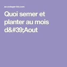 Que Semer Et Planter En Aout Au Potager Que Planter En Aout Fleurs Aout Potager Bio