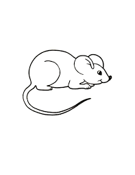 For Kindergarten Free Printable Mouse Coloring Pages For Kids Pdf Coloring Pages For Kids Coloring Pages Kids Mouse