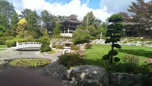 Hier könnt ihr an den wasserspielen der teiche, den gartenbaukünsten und dem wasserfall vorbeispazieren, auf den bänken entspannen und vom düsseldorfer großstadttrubel abschalten. Japanischer Garten Und Eko Haus Picture Of Eko Haus Der Japanischen Kultur E V Dusseldorf Tripadvisor