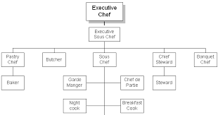 Hotel Managemt Hierarchy Chef Positions