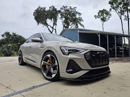 Image result for Siam Beige 2020 Audi