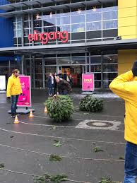 Promoter Helfen Beim Knut Weihnachtsbaumweitwurf Promotion Agentur Bundesweit