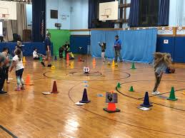 Maybe you would like to learn more about one of these? Huntington Public Schools Ny