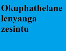 Totem Network Okuphathelane Lenyanga Zesintu Zulu Totem Culture