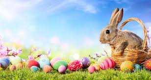 We did not find results for: Free Happy Easter Bunny Images Photos Pictures Pics Hd Wallpapers Free Download Happy Easter Easter Pictures Easter Bunny Pictures Easter Bunny Images