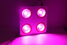 We did not find results for: Full Spectrum Commercial 800w Cob Led Grow Light For Canada Market