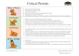 The Neuromechanisms Of Resilience Why It Is Vital To Dog