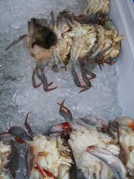 Often they'll use subtle tactics, hints, and guilt trips to get their way in a quiet and diplomatic way without the other person realizing what's going on at the time. Soft Shell Crab Wikipedia