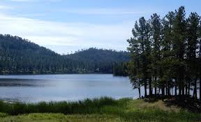 352 ft rapid city, south dakota, united states The Complete Guide To Camping In Custer State Park Tmbtent