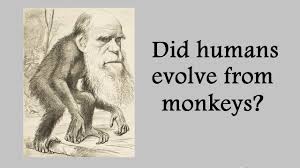 Maybe you would like to learn more about one of these? Charles Darwin Theory Of Evolution Did We Evolve From Monkeys Science Education Online Youtube