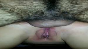 Homem Comendo Jumenta Porn Videos: XXX 2025, 9 | xHamster