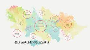 We did not find results for: Cell Analogy Volleyball By Mikayla Wise