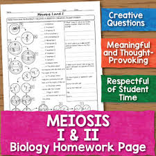Biology meiosis worksheet answer key chromosomes and meiosis reinforcement worksheet answers and meiosis matching worksheet answer key are three of main things we want to show you based on the post title. Meiosis Biology Homework Worksheet By Science With Mrs Lau Tpt