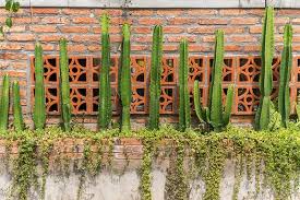 But it's actually home to hundreds of plant species— including a variety of wildflowers, cacti, trees, shrubs, and grasses. 15 Amazing Desert Landscaping Ideas Trees Com