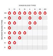 Some people rely on donations of rare blood. What Is My Blood Type