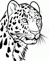 Leopard Google Search Leopard Drawing Cheetah Drawing Leopard Art