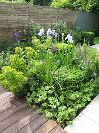 As Featured On Love Your Garden Planting Combinations Astrantia Large White Euphorbia X Martini Sal Small Urban Garden Garden Design Small Garden Design