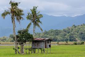 Kota kinabalu is a coastal city in malaysia partly surrounded by rainforests also. Kota Belud Sunday Market From Kota Kinabalu 2021