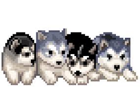 Pixelart Colorbynumber Draw Pets Pet Pixel Cute Pixel Art Design Pixel Animation Pixel Art