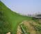 Erosion Control Grid