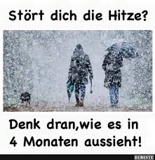 ➤ lustige sprüche & zitate | diese lustigen sprüche rauben dir den atem vor lachen :d das ist ein sixpack vom denken! Stort Dich Die Hitze Lustige Bilder Spruche Witze Echt Lustig