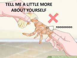 Most cancer men envision a future with a comfortable home where they could raise their children to make a cancer man fall for you, you need to be a homebody. Coping Strategies For Your Cancer S Moods Astrologeeks